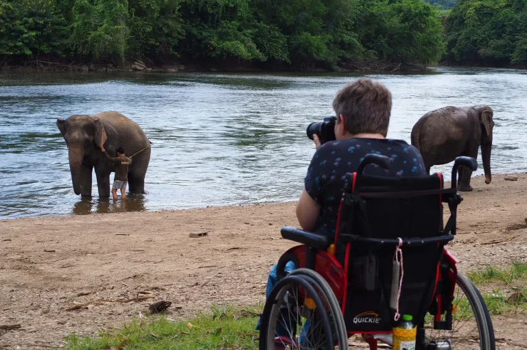 A person in a wheelchair taking photographs of two elephants in a river