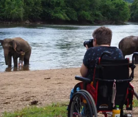 A peaceful moment on an accessible elephant scenery tour, emphasizing inclusive tourism in Thailand A person in a wheelchair taking photographs of two elephants in a river