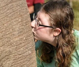 Unforgettable sensory moments! Connect with Thailand's gentle giants through touch and sound at a responsible elephant camp in Chiang Mai, a highlight of our North to South tour. A visually impaired female traveler wearing glasses gently leans in to touch the rough, textured skin of an elephant's body with her face, experiencing the elephant through close tactile interaction at an ethical elephant camp in Chiang Mai.