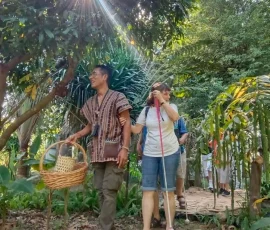 Step into nature: A guided sensory exploration of the award-winning self-sufficient gardens at Baan Dok Bua. A local guide in traditional attire leading a visually impaired traveler with a white cane through a sun-drenched organic garden.