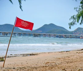 wheelchair pattaya (7)