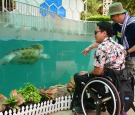 wheelchair pattaya (8)